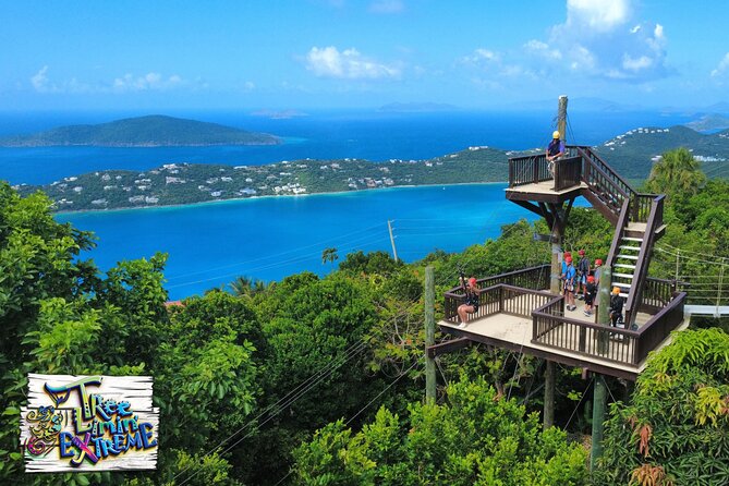Tree Limin' Extreme Zipline - Key Points to Know Before You Zip