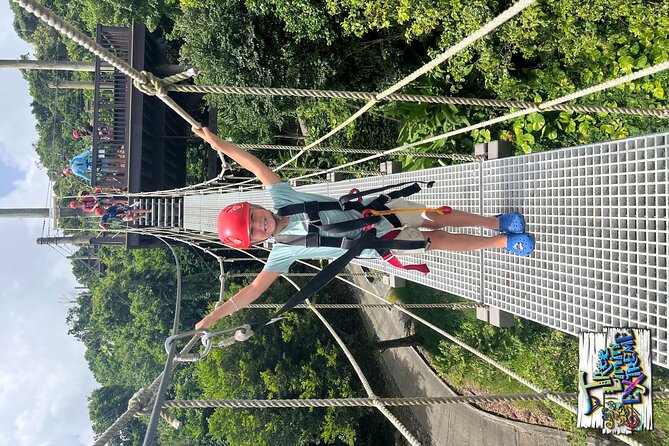 Tree Limin' Extreme Zipline - How Much Value Do You Get for $155?