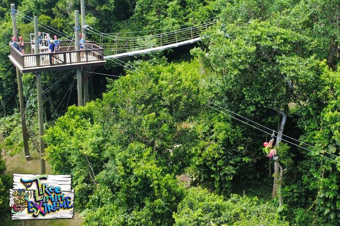Tree Limin' Extreme Zipline - Planning Around Weather and Cruise Schedules