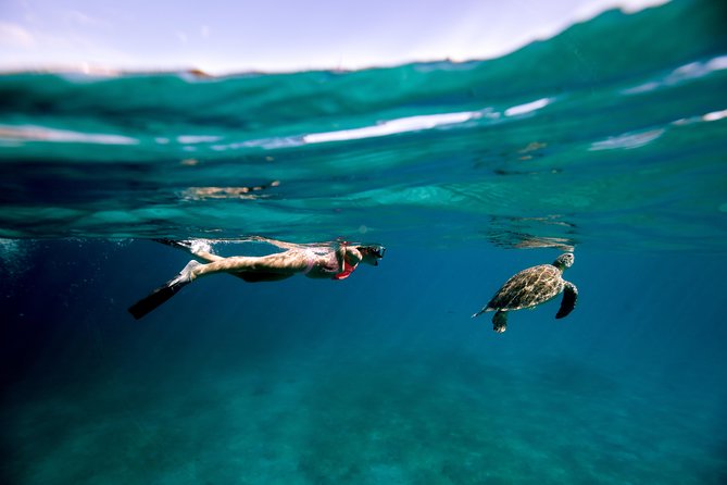 Turtle Cove Catamaran Snorkel and Sail at Little Buck Island STT - Key points to know before you book