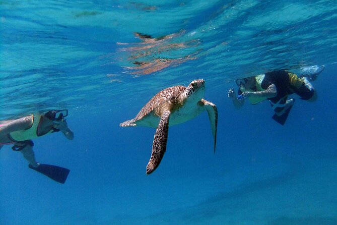Turtle Cove Catamaran Snorkel and Sail at Little Buck Island STT - Sailing out from Frenchman’s Cove at 1 p.m.