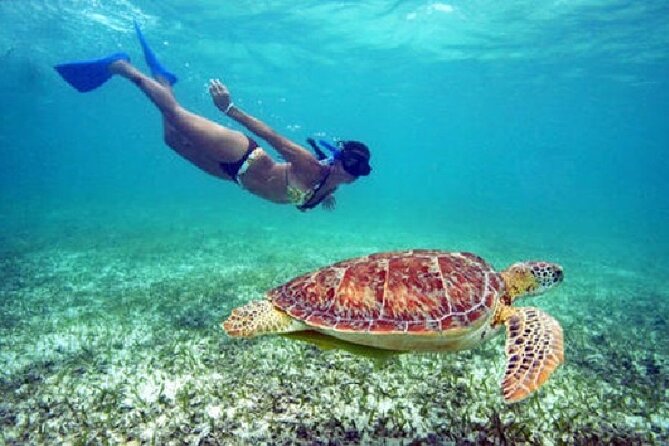Turtle Snorkel Sail on Buck Island from Frenchman's Reef - Setting Sail from Frenchman’s Reef at 10 a.m.