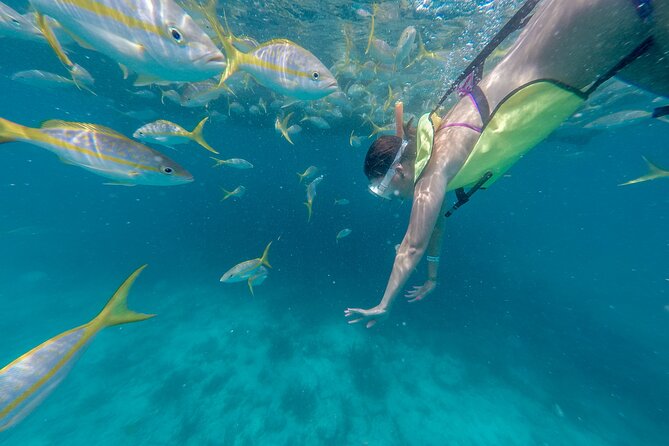 Turtle Snorkel Sail on Buck Island from Frenchman's Reef - Buck Island Snorkeling and the Search for Turtles
