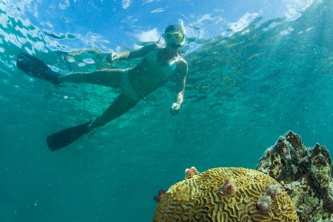 Turtle Snorkel Sail on Buck Island from Frenchman's Reef - Is $129 a Fair Price?