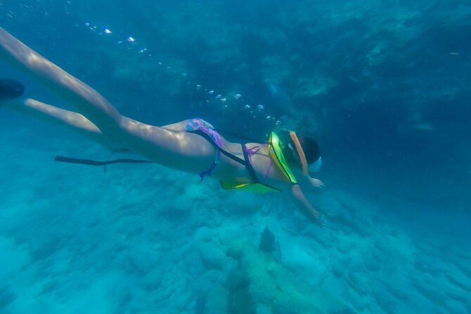 Turtle Snorkel Sail on Buck Island from Frenchman's Reef - Water Island, Lunch, and a Change of Pace
