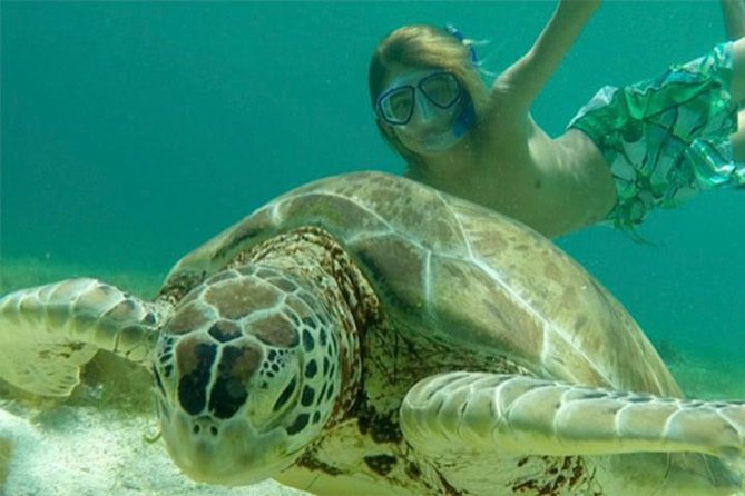 Turtles, Pizza Pi & Sunset trip - Christmas Cove: the first swim and Pizza Pi delivery