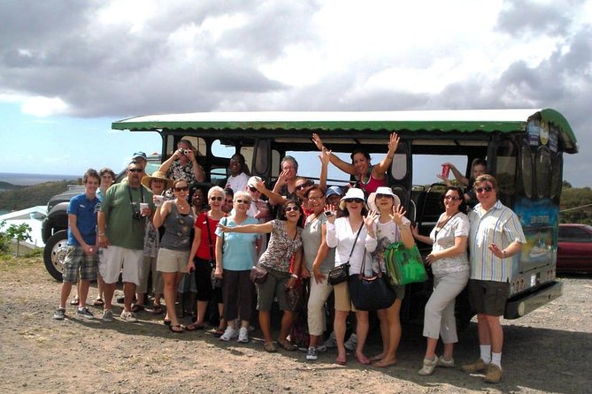 Two-Hour Sightseeing Excursion - Charlotte Amalie from the road and from above