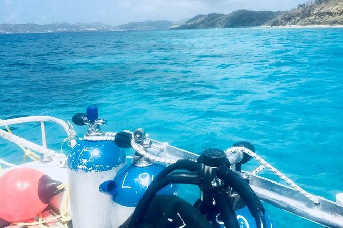 Two Tank Dive - What the three-and-a-half-hour trip is really like