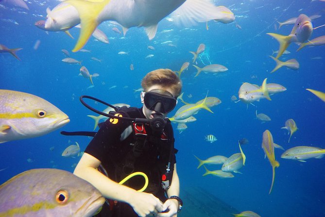 Two-Tank Dive for Certified Diving in St Thomas - The second site and the ride back