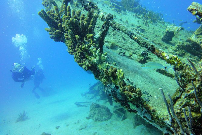 Two-Tank Dive for Certified Diving in St Thomas - What the $189 price includes