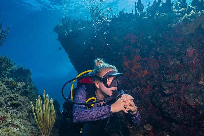 Two-Tank Morning Dive Trip for Certified Divers - Guides who help different ability levels