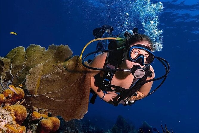 Two-Tank Morning Dive Trip for Certified Divers - Equipment, comfort, and physical demands