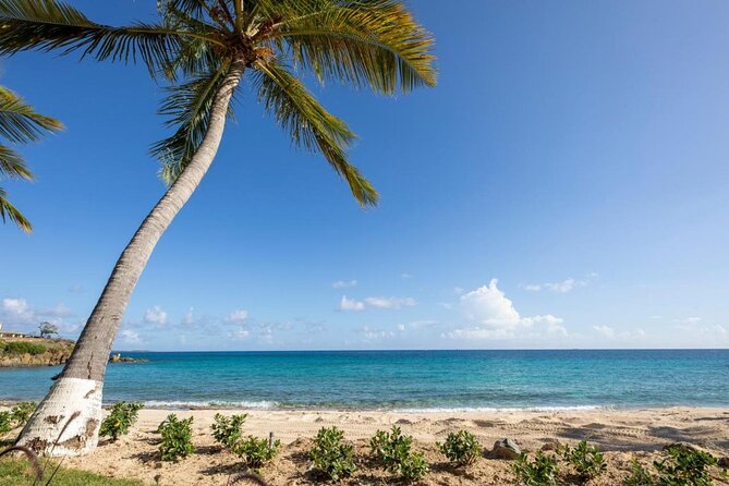 Vi Top Taxi & Tours -Airport Transfer to Bolongo Bay/ Limetree - Air-conditioning, bottled water, and luggage comfort