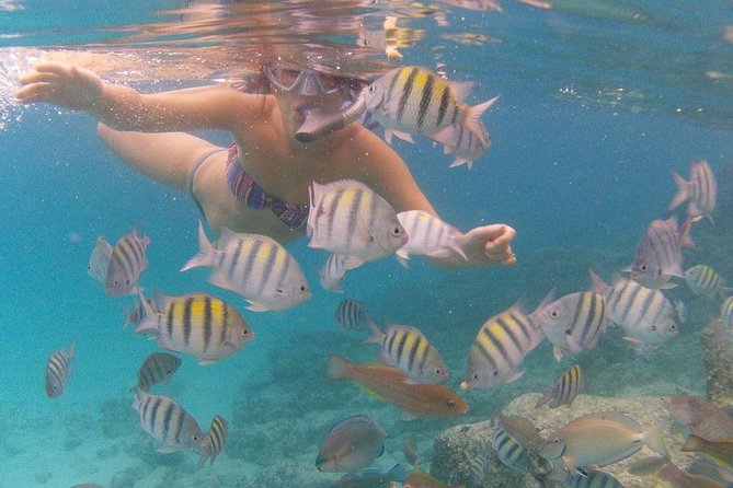 Vi Top Taxi &Tours USVI-Coki Beach Snorkeling Tour - Mountain Top: Start With the Big Magens Bay View