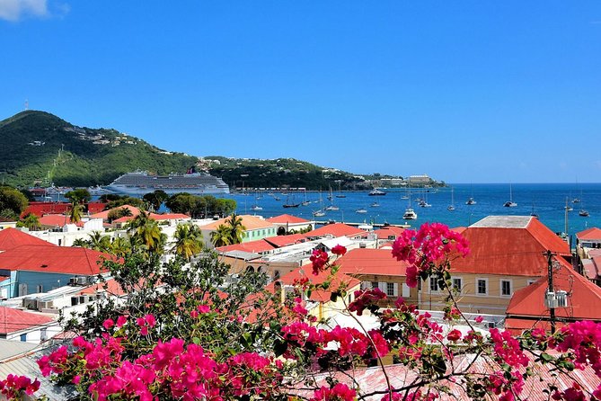 Vi Top Taxi &Tours USVI-St Thomas Private Group-Island Tour - Choosing Charlotte Amalie or Havensight for Shopping