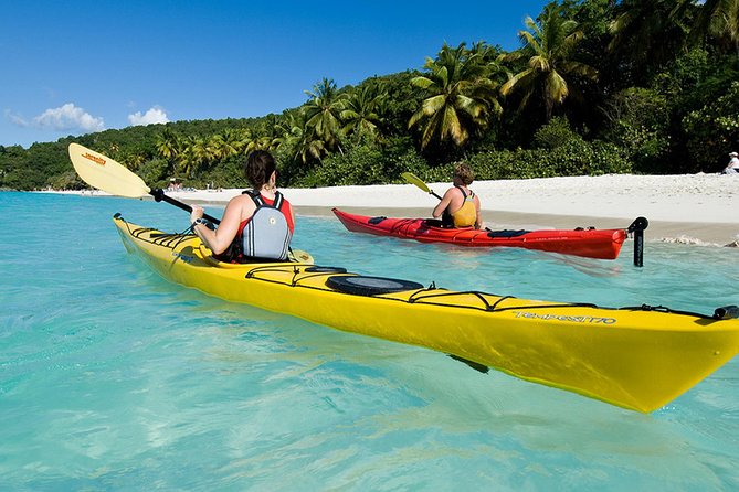 Vi Top Taxi &Tours USVI-St Thomas Private Group-Island Tour - What the Driver Adds to the Day